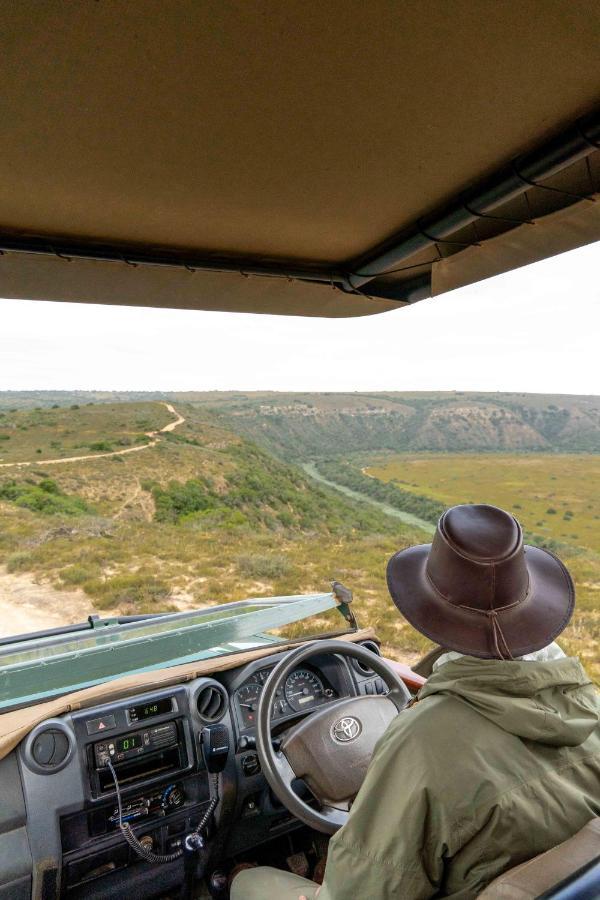 Woodbury Lodge - Amakhala Game Reserve Exterior photo