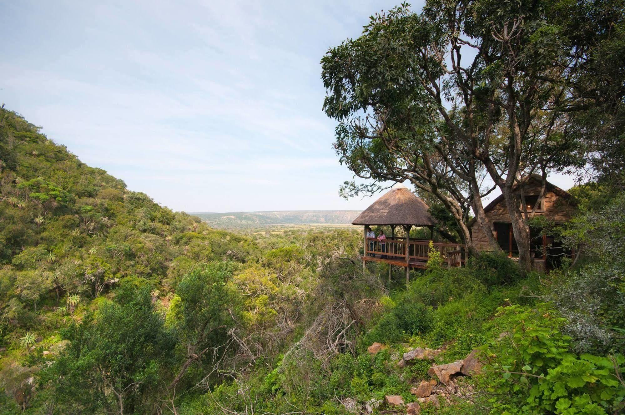 Woodbury Lodge - Amakhala Game Reserve Exterior photo